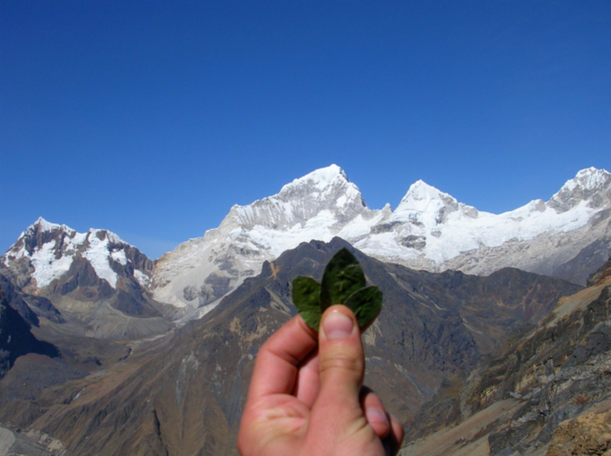 A <i>quintu</i>, trio of coca leaves, as a <i>pago</i> to an Apu, Peru