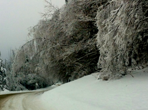 Winter, Anne Bergeron