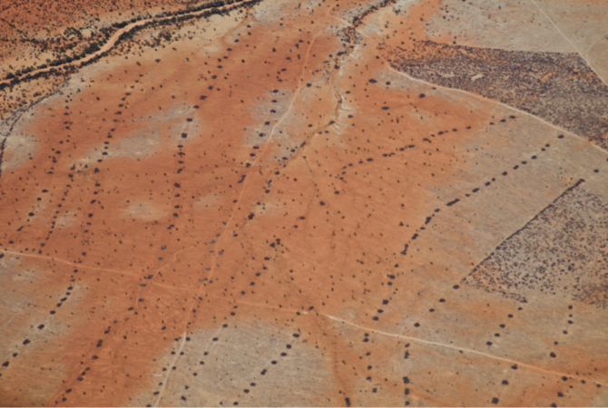 Namibia from the air.  (Notice the dry riverbed and fractal vegetation patterns, indicating underground water. In Namibia, on average, it rains less than five inches per year.)