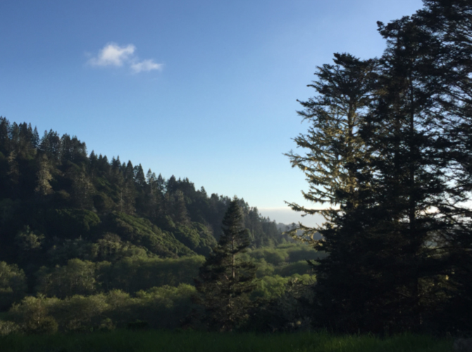 “Edgewalker Sanctuary”, 10 Mile River, Ft. Bragg, Ca