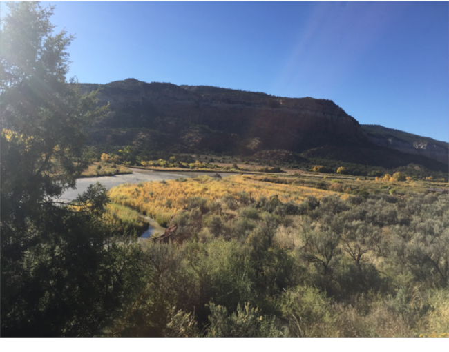 Chama River, New Mexico