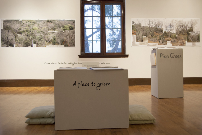 Cascading Memorials: Urbanization and Climate Change in San Diego County, Athenaeum Music and Arts Library, San Diego 2012