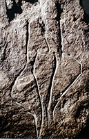 Two female dancers. Carving in slate, figures 10.2 cm. high. Gonnersdorf/Rhine, Germany, 10,500 BC.